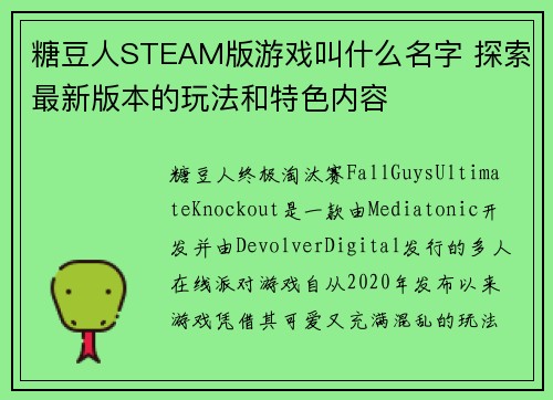 糖豆人STEAM版游戏叫什么名字 探索最新版本的玩法和特色内容
